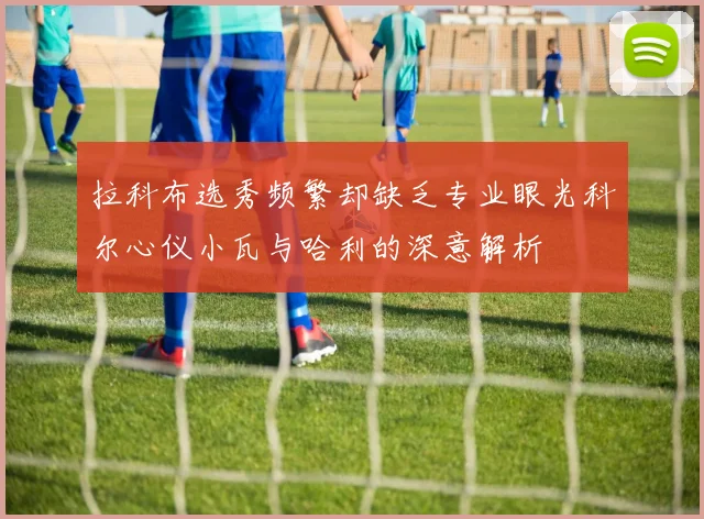 拉科布选秀频繁却缺乏专业眼光科尔心仪小瓦与哈利的深意解析